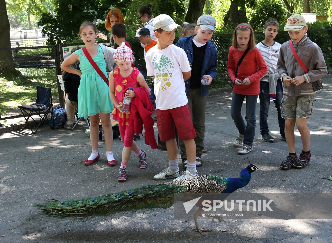 Kaliningrad zoo