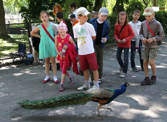 Kaliningrad zoo