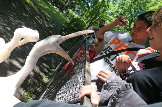Kaliningrad zoo