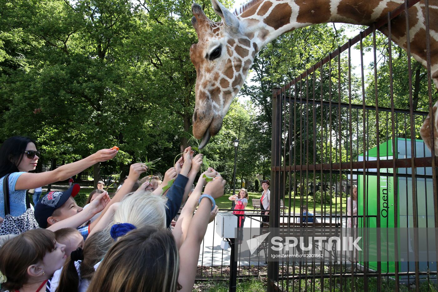 Kaliningrad zoo