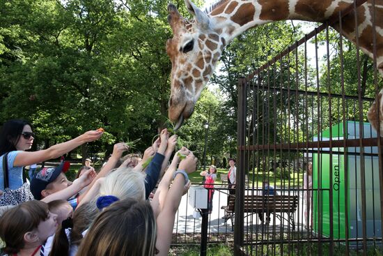 Kaliningrad zoo
