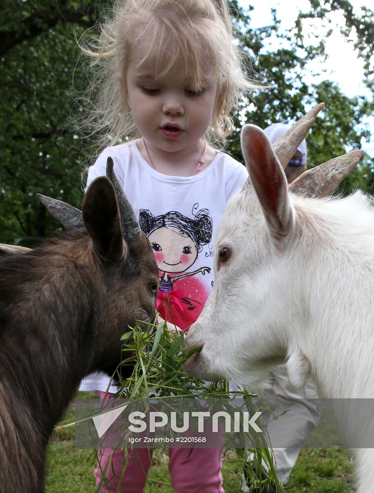Kaliningrad zoo