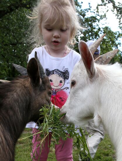 Kaliningrad zoo