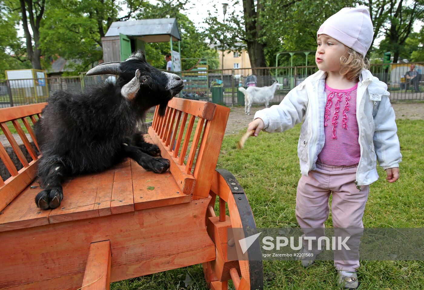 Kaliningrad zoo