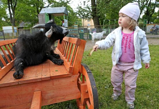 Kaliningrad zoo