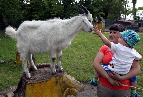 Kaliningrad zoo
