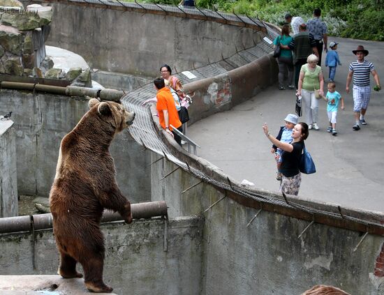 Kaliningrad zoo