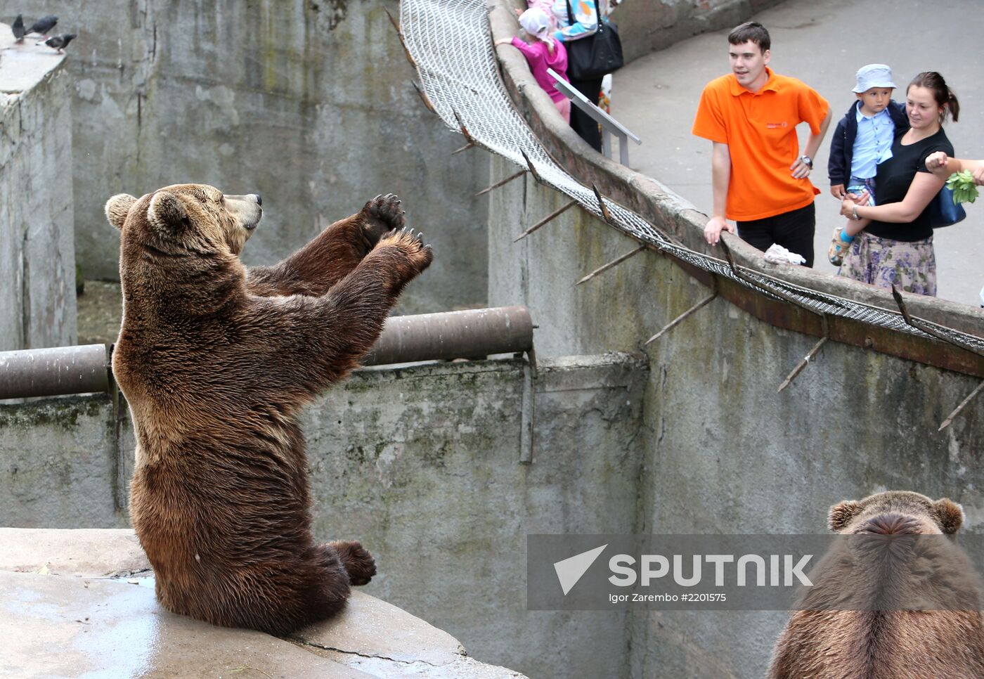 Kaliningrad zoo
