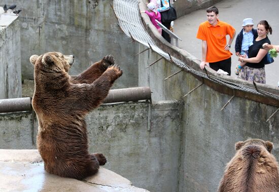 Kaliningrad zoo