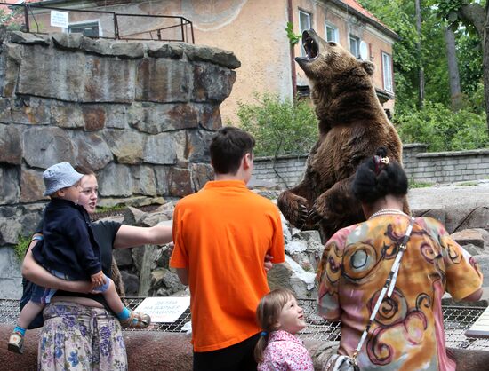 Kaliningrad zoo
