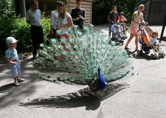 Kaliningrad zoo