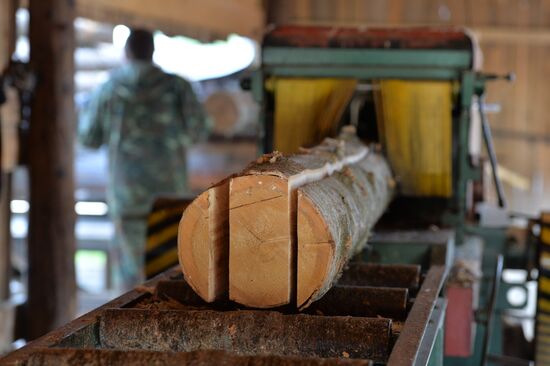 Woodworking shop in Omsk Region