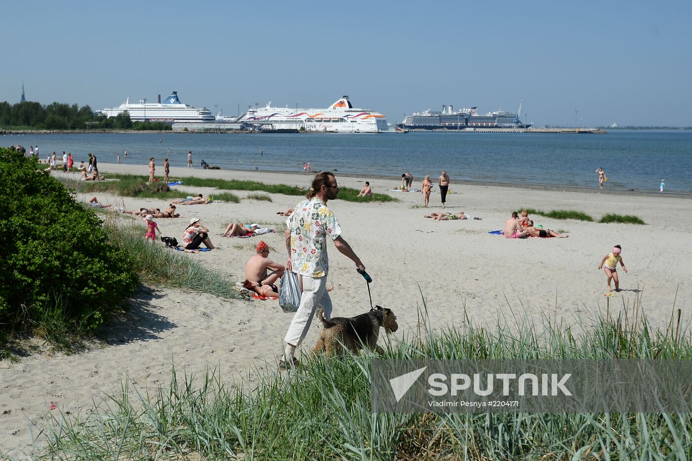 World cities. Tallinn