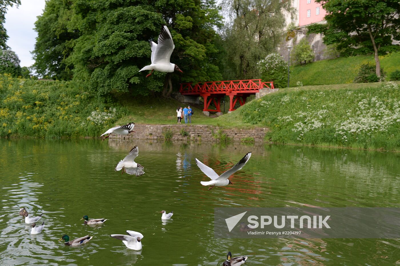 World cities. Tallinn
