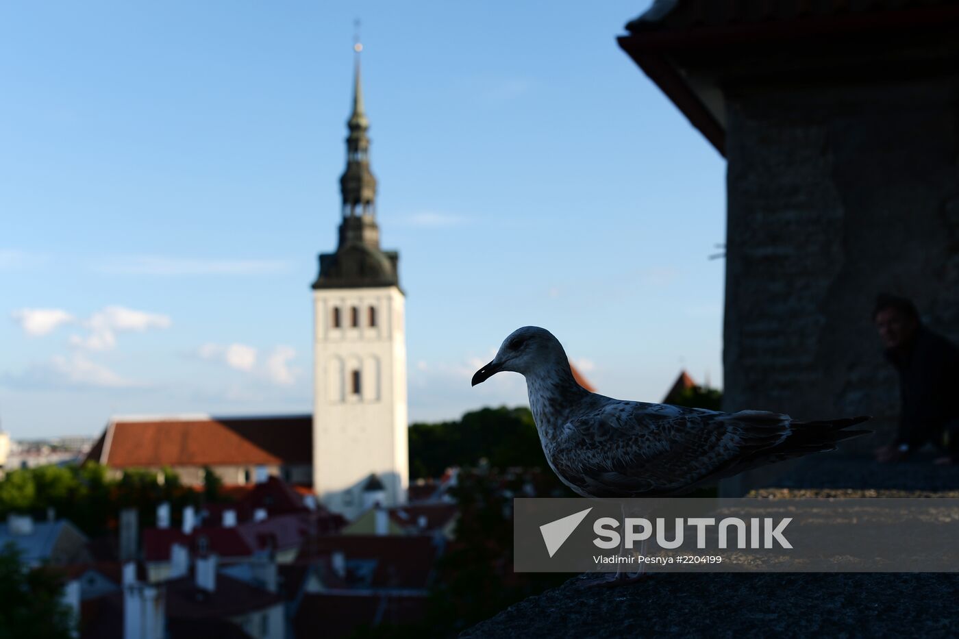 World cities. Tallinn