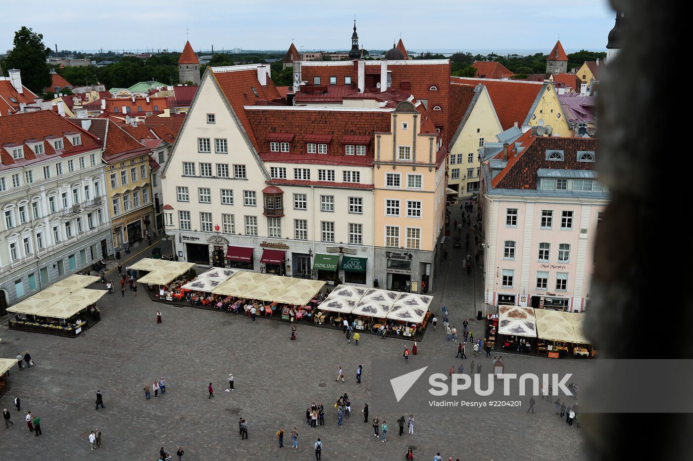 World cities. Tallinn