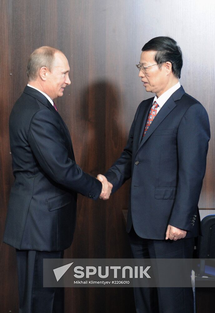 Vladimir Putin and Zhang Gaoli meet in St. Petersburg