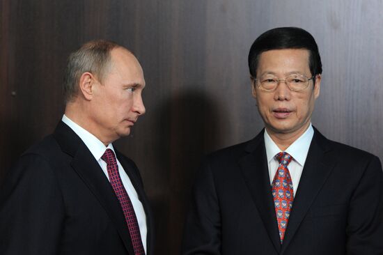 Vladimir Putin and Zhang Gaoli meet in St. Petersburg