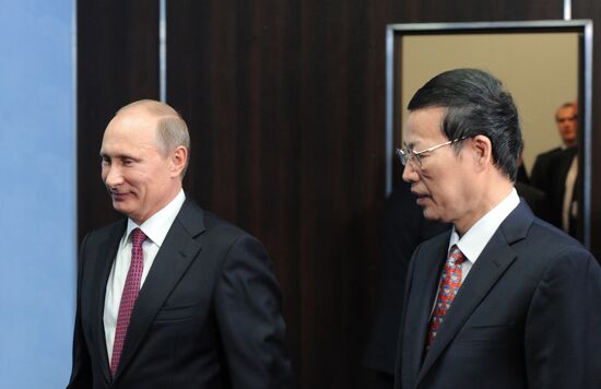 Vladimir Putin and Zhang Gaoli meet in St. Petersburg