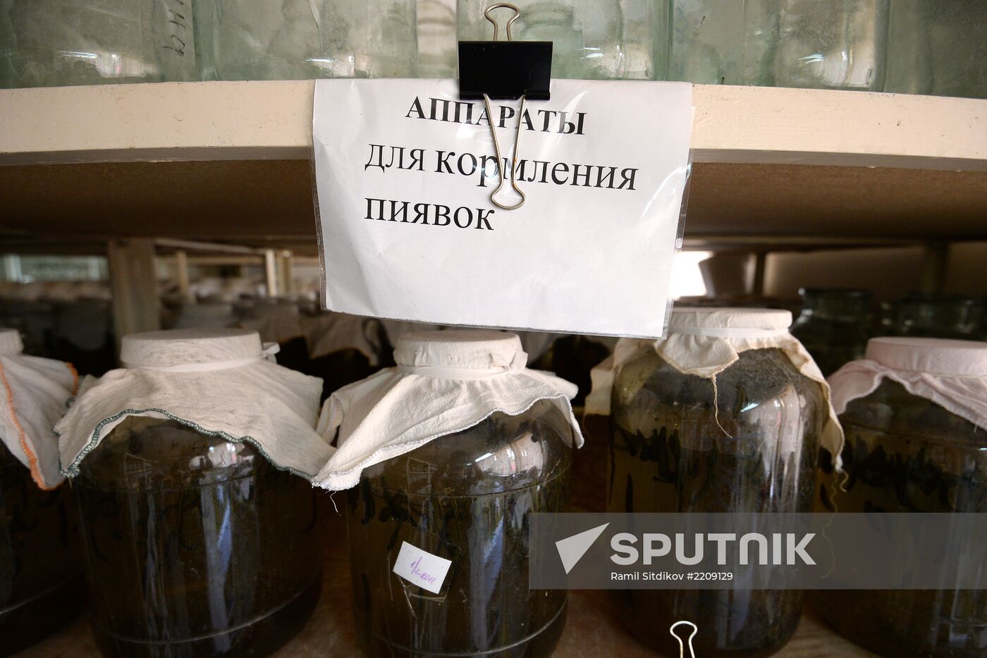 International Medical Leech Centre in Ramensky District