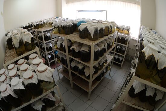 International Medical Leech Centre in Ramensky District