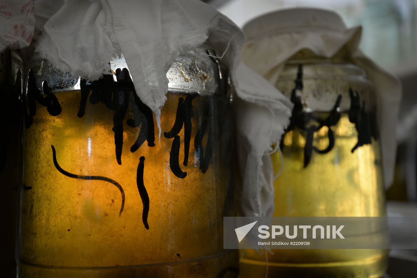 International Medical Leech Centre in Ramensky District