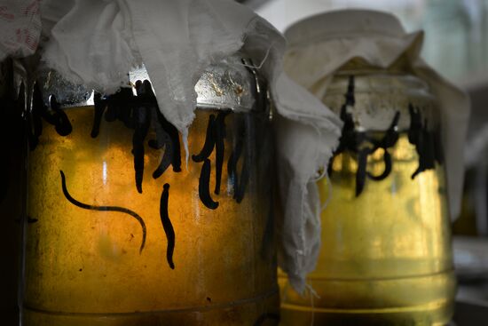International Medical Leech Centre in Ramensky District