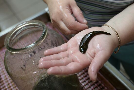 International Medical Leech Centre in Ramensky District