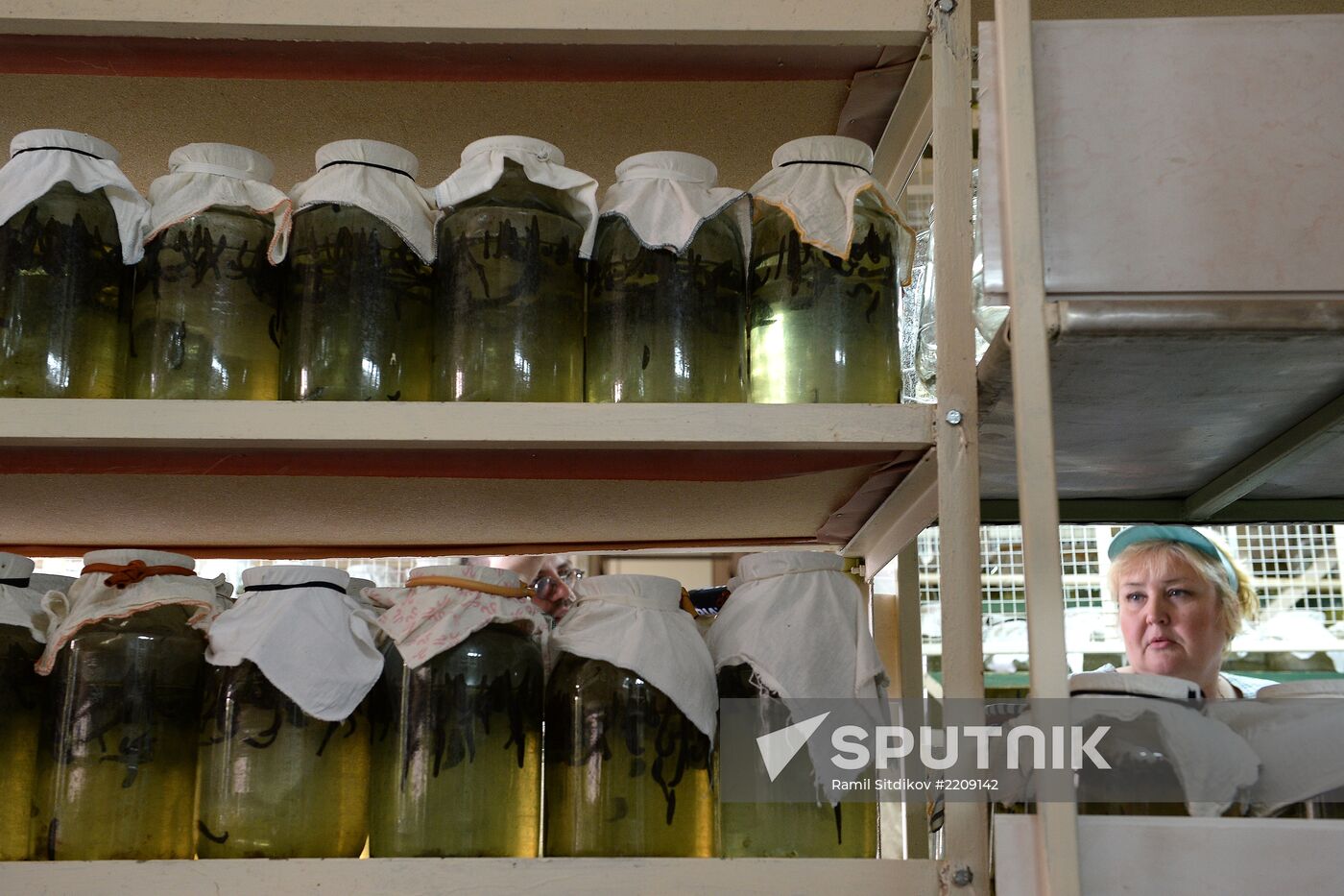 International Medical Leech Centre in Ramensky District