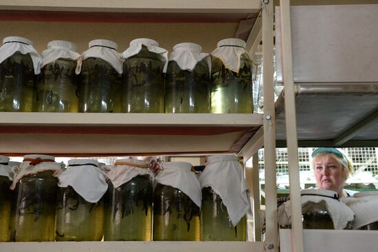 International Medical Leech Centre in Ramensky District