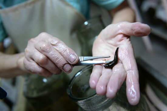 International Medical Leech Centre in Ramensky District