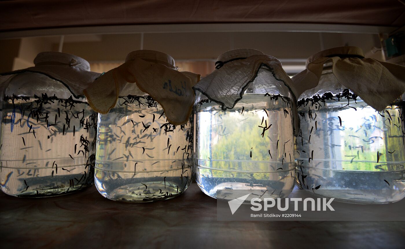 International Medical Leech Centre in Ramensky District