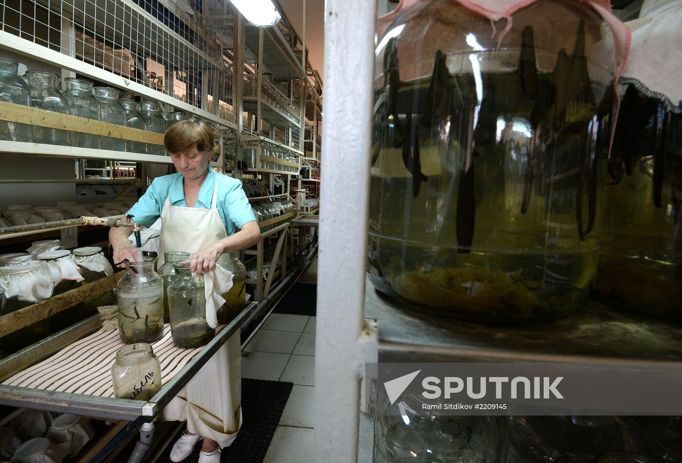 International Medical Leech Centre in Ramensky District