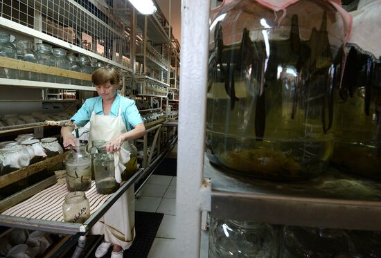 International Medical Leech Centre in Ramensky District