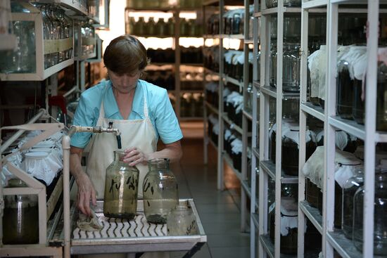 International Medical Leech Centre in Ramensky District