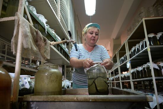 International Medical Leech Centre in Ramensky District