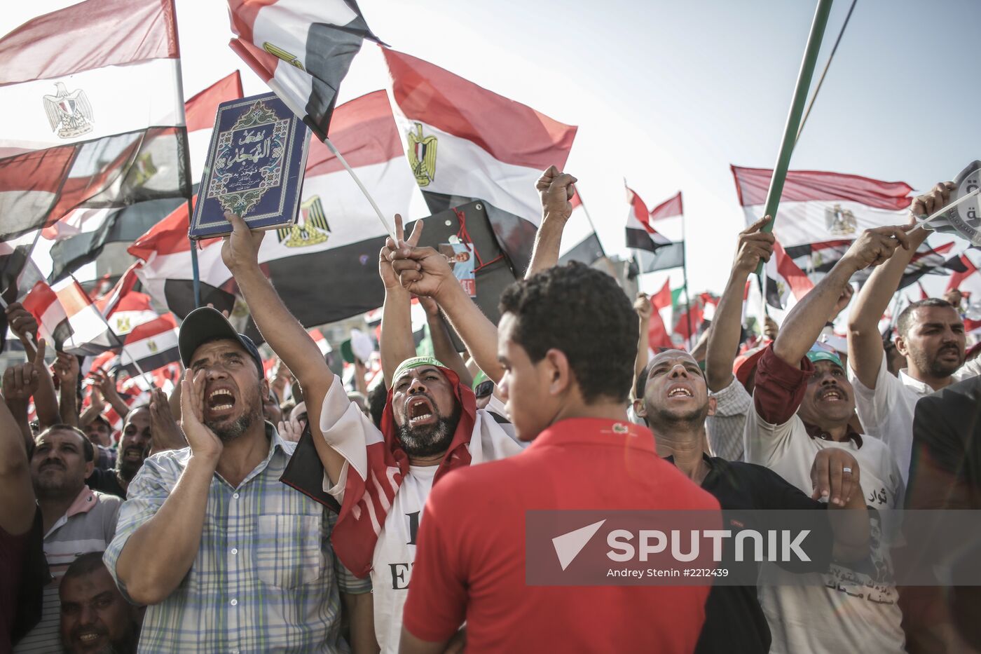 Rallies of supporters and opponents of President Morsi in Cairo