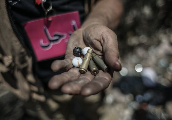 Protesters ransack Muslim Brotherhood office in Cairo