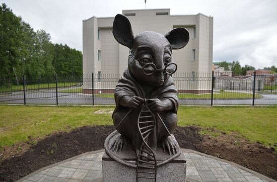 Monument to lab mouse unveiled in Novosibirsk