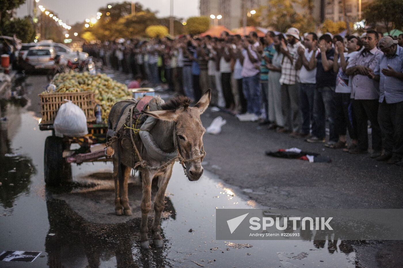 Situation in Egypt