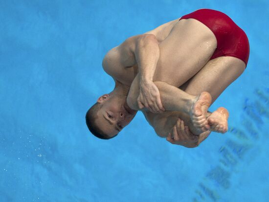 2013 Universiade. Diving. Women. 10m platform. Finals
