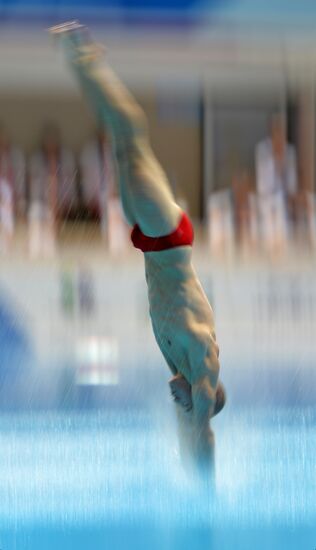 2013 Universiade. Day Five. Diving. Finals