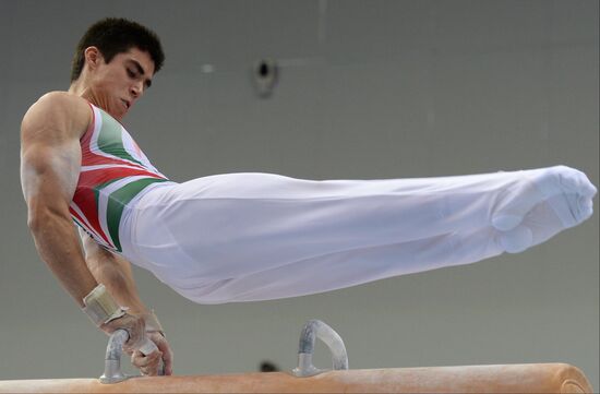 2013 Universiade. Day Five. Artistic Gymnastics