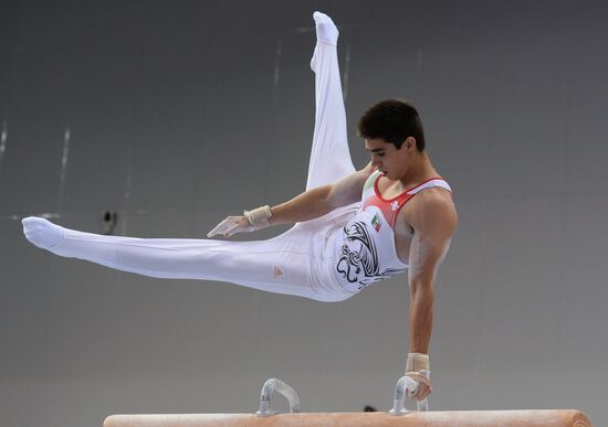 2013 Universiade. Day Five. Artistic Gymnastics