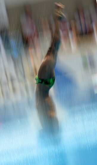 2013 Universiade. Day Five. Diving. Finals