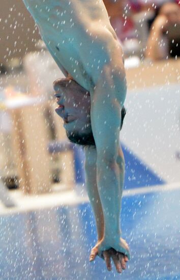 2013 Universiade. Day Five. Diving. Finals