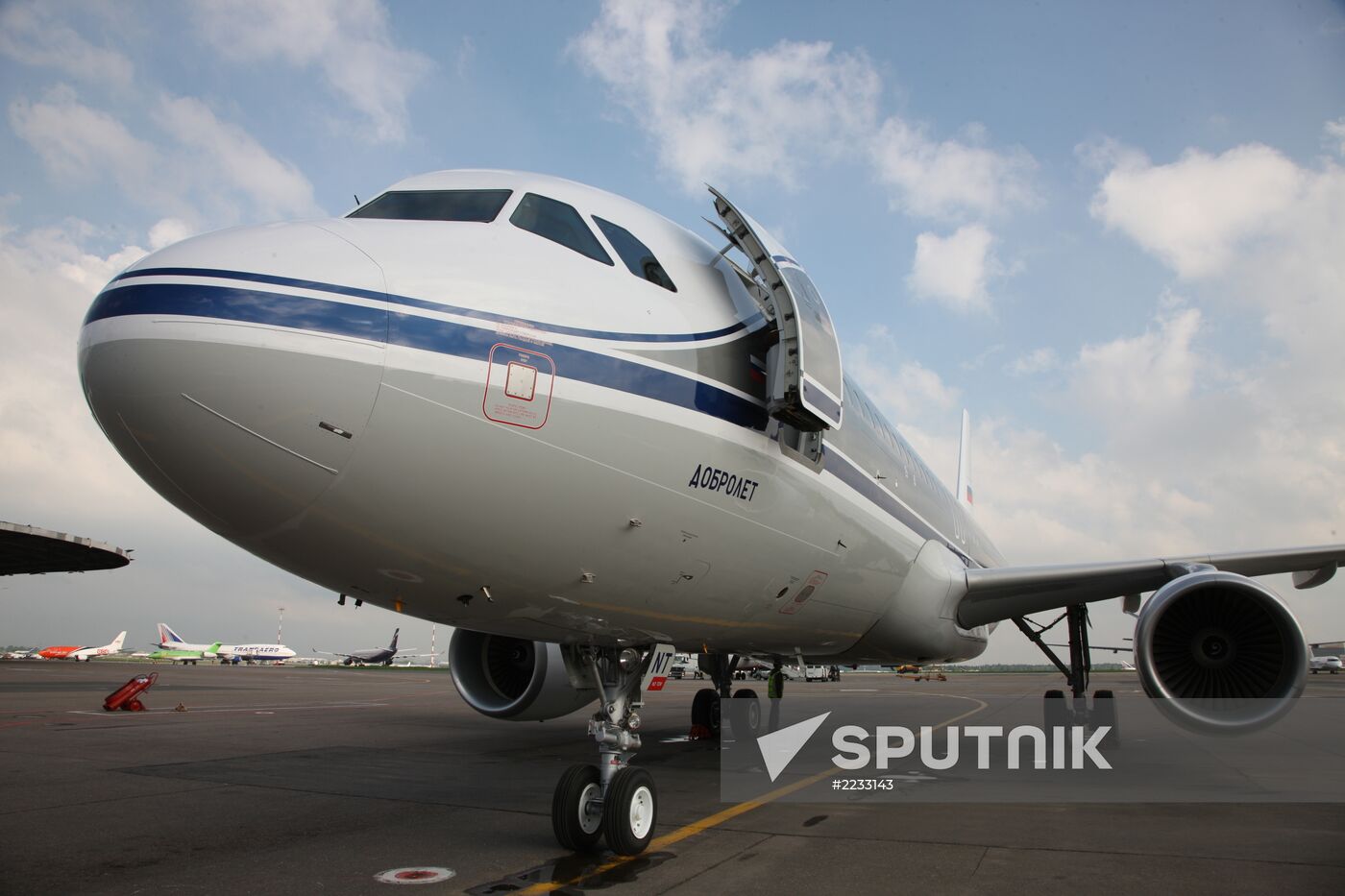 Aeroflot liners' jubilee decoration