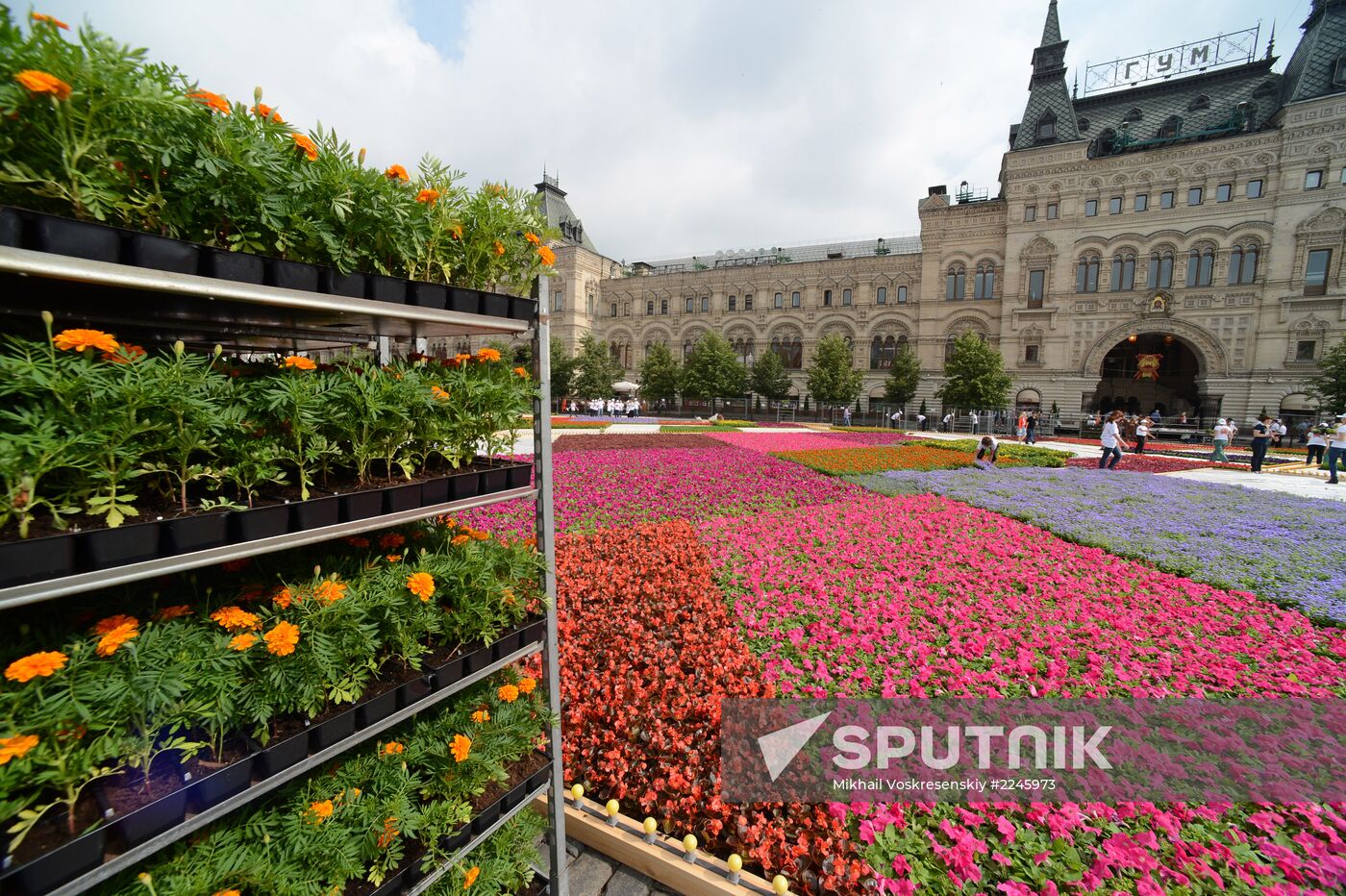 Flower carpet laid on Red Square