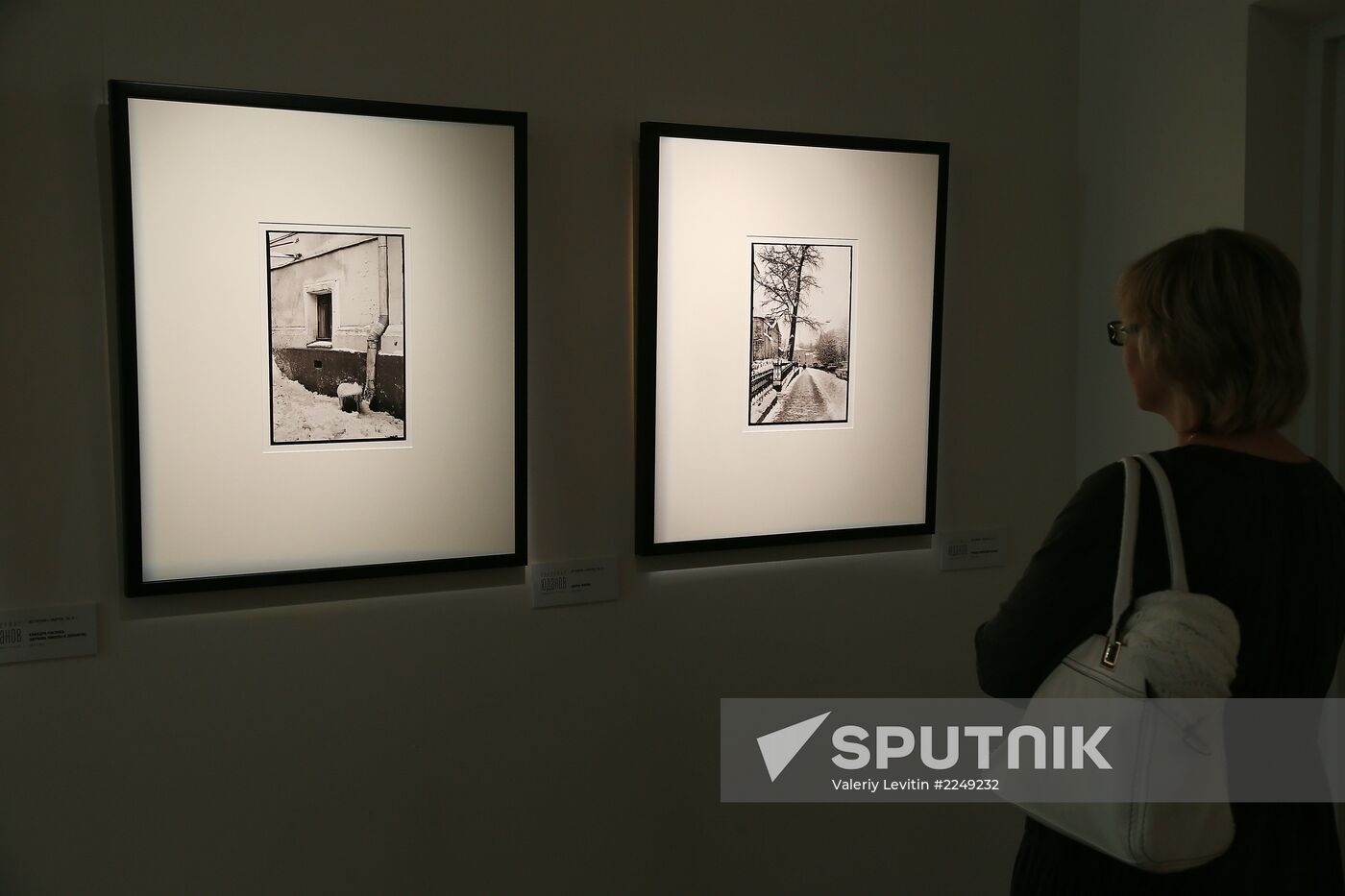 Vladimir Yudanov's exhibition 'Collected Works' opens in Moscow