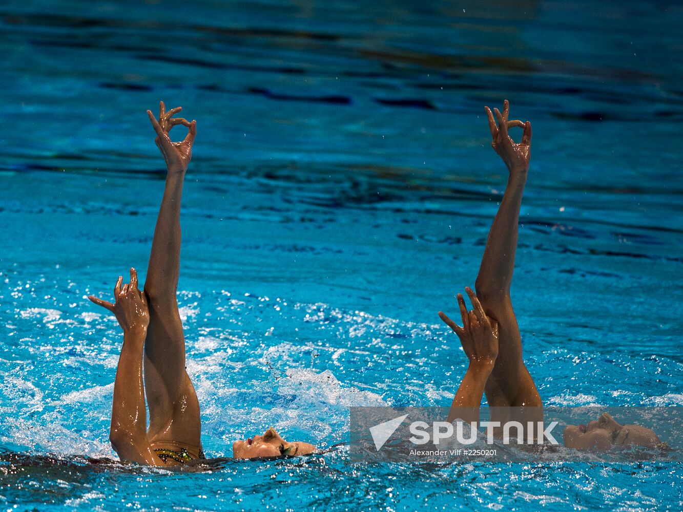 FINA World Aquatics Championships. Synchronized swimming. Duet